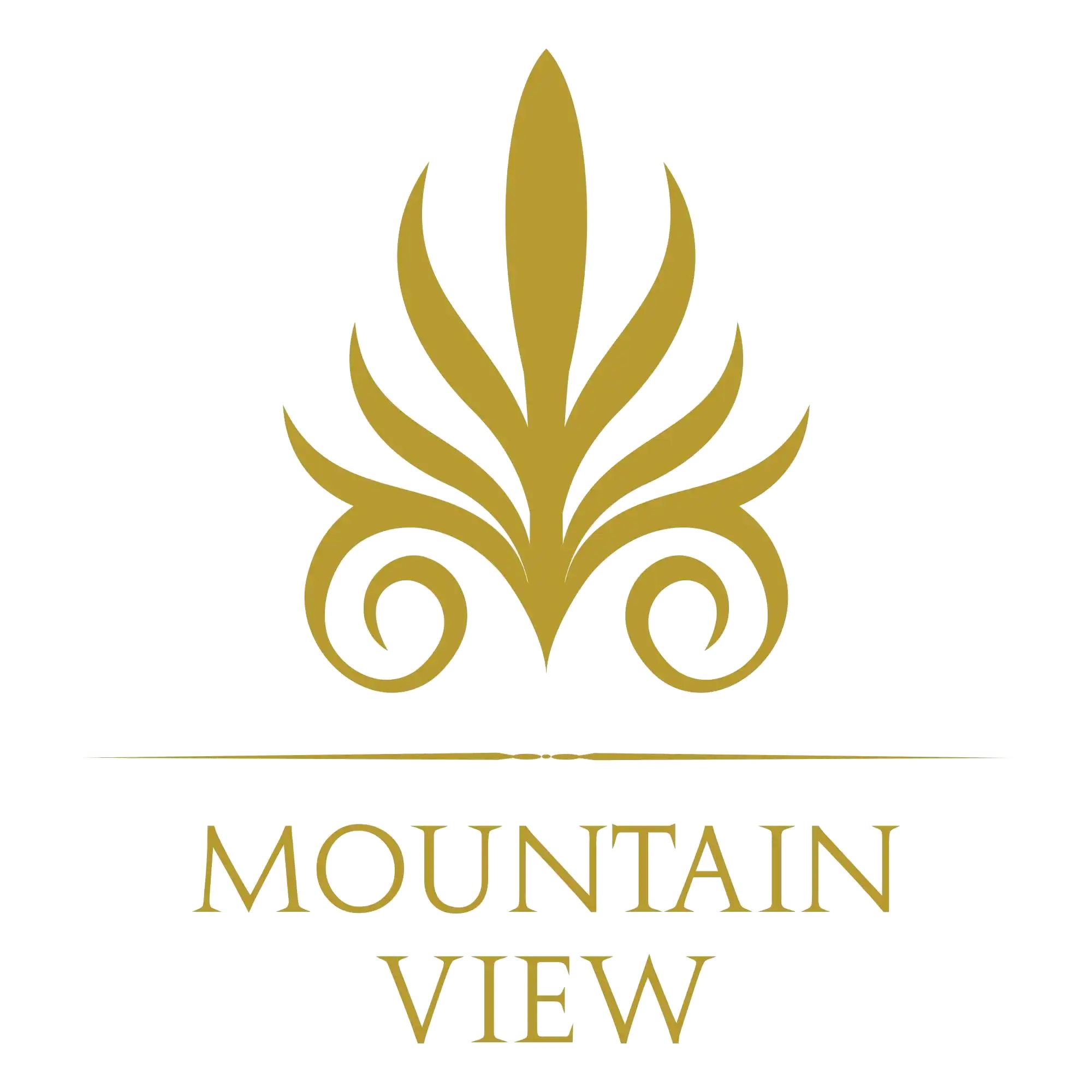 شركة ماونتن فيو للتطوير العقاري